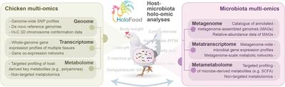 Novel strategies to improve chicken performance and welfare by unveiling host-microbiota interactions through hologenomics